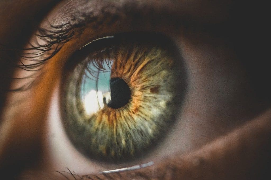 Síndrome de Sjögren-Molestias por ojo seco-Lentes esclerales